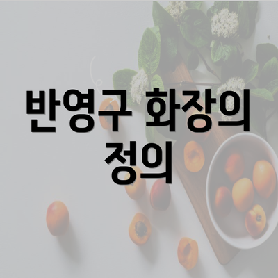 반영구 화장의 정의