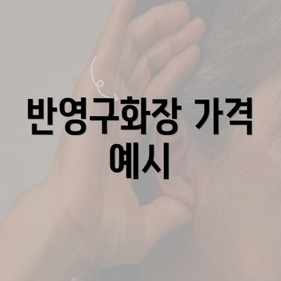 반영구화장 가격 예시