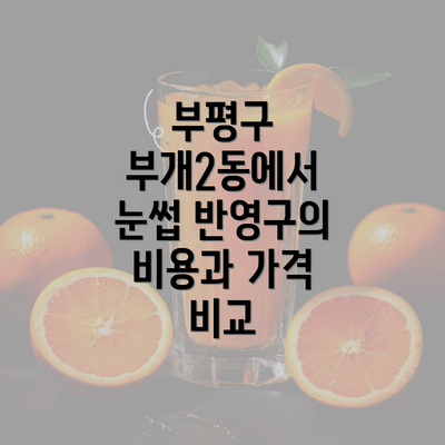 부평구 부개2동에서 눈썹 반영구의 비용과 가격 비교