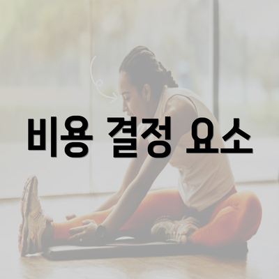 비용 결정 요소