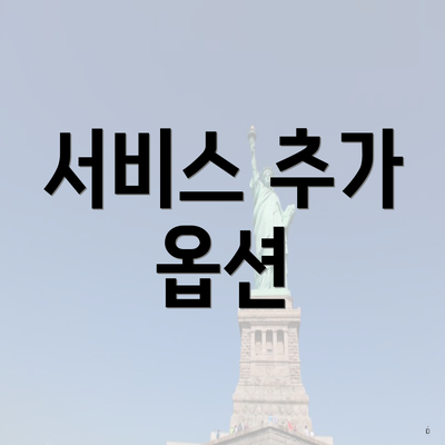 서비스 추가 옵션