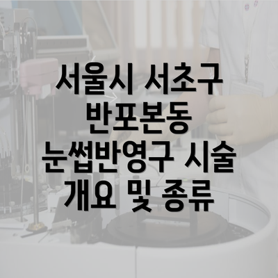 서울시 서초구 반포본동 눈썹반영구 시술 개요 및 종류