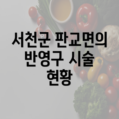 서천군 판교면의 반영구 시술 현황