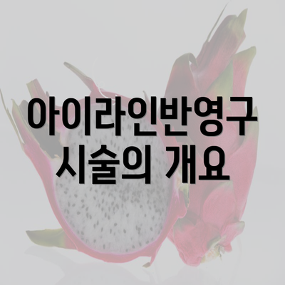 아이라인반영구 시술의 개요