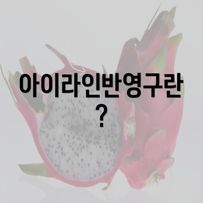 아이라인반영구란?