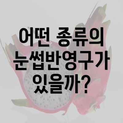 어떤 종류의 눈썹반영구가 있을까?