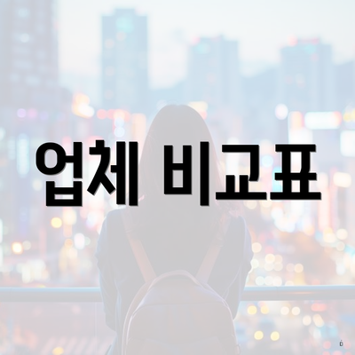 업체 비교표