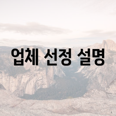 업체 선정 설명