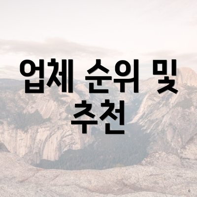 업체 순위 및 추천