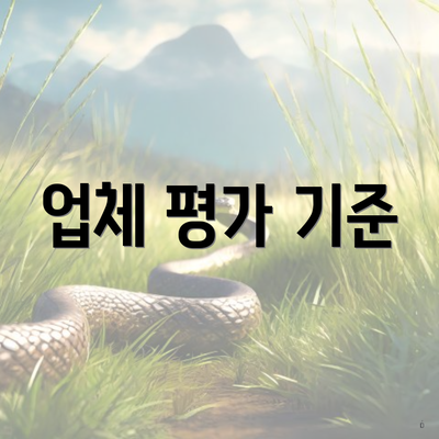 업체 평가 기준