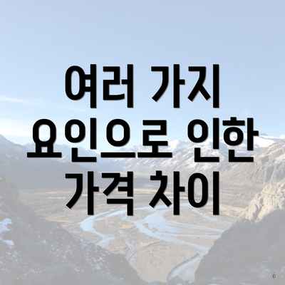 여러 가지 요인으로 인한 가격 차이