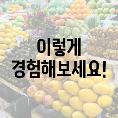 이렇게 경험해보세요!