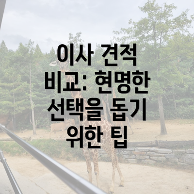 이사 견적 비교: 현명한 선택을 돕기 위한 팁