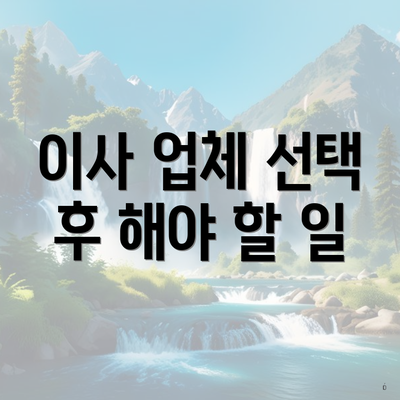 이사 업체 선택 후 해야 할 일