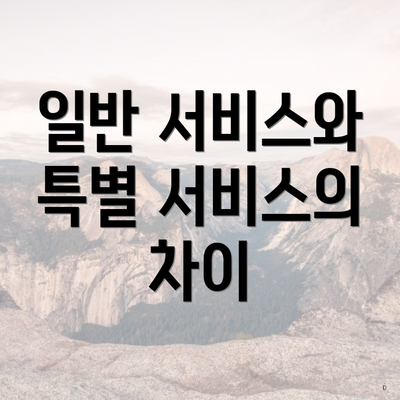 일반 서비스와 특별 서비스의 차이