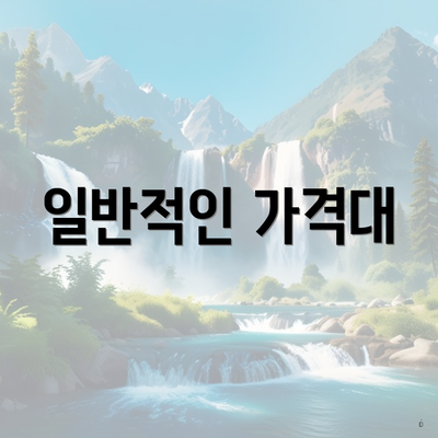 일반적인 가격대