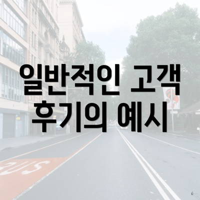 일반적인 고객 후기의 예시