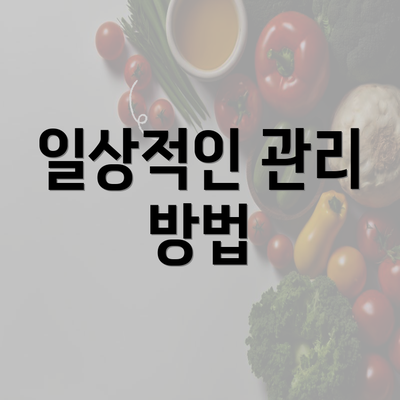 일상적인 관리 방법