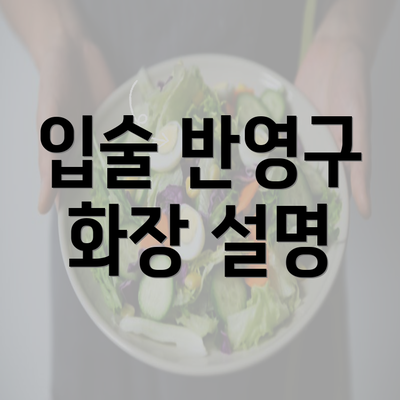 입술 반영구 화장 설명