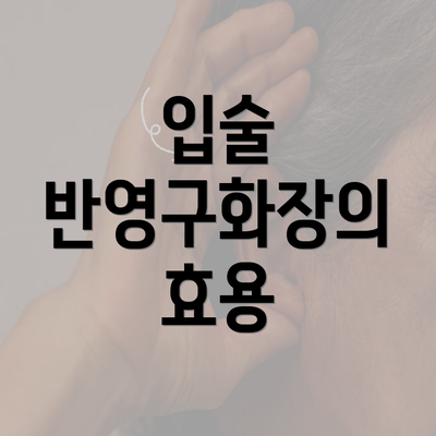 입술 반영구화장의 효용