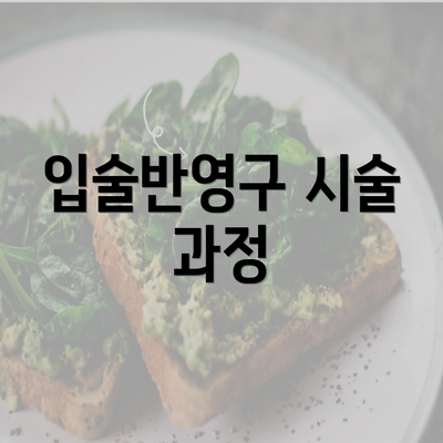 입술반영구 시술 과정