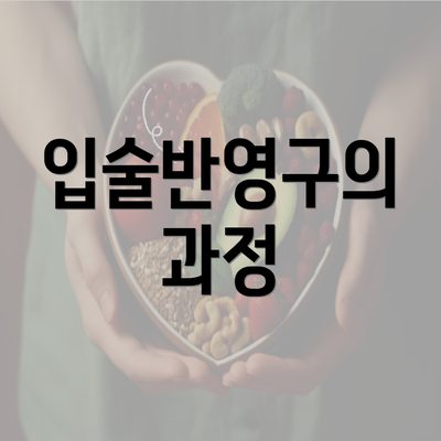 입술반영구의 과정