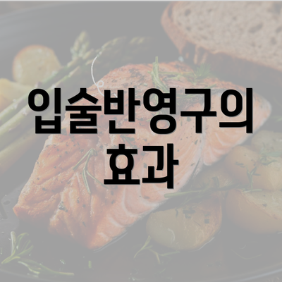 입술반영구의 효과