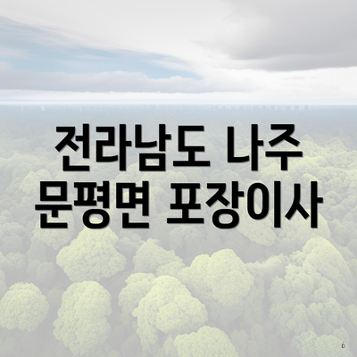 전라남도 나주 문평면 포장이사