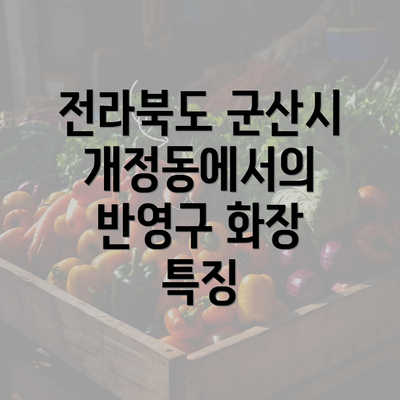 전라북도 군산시 개정동에서의 반영구 화장 특징