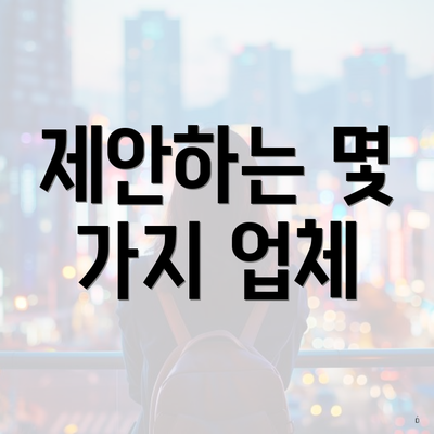 제안하는 몇 가지 업체