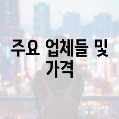 주요 업체들 및 가격