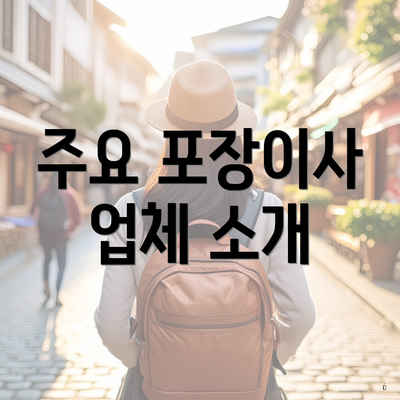 주요 포장이사 업체 소개