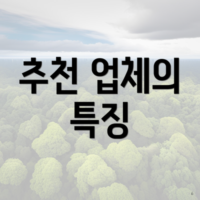 추천 업체의 특징