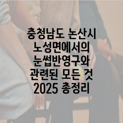 충청남도 논산시 노성면에서의 눈썹반영구와 관련된 모든 것 2025 총정리