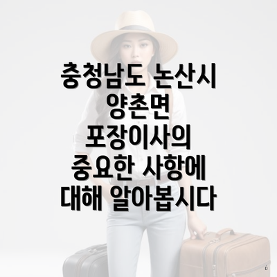 충청남도 논산시 양촌면 포장이사의 중요한 사항에 대해 알아봅시다