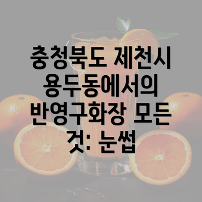 충청북도 제천시 용두동에서의 반영구화장 모든 것: 눈썹