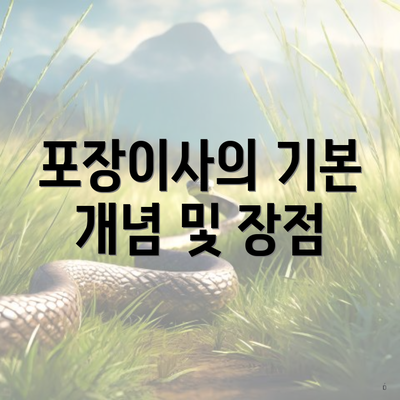 포장이사의 기본 개념 및 장점