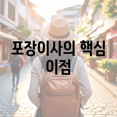 포장이사의 핵심 이점