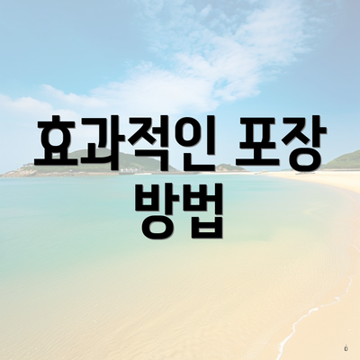 효과적인 포장 방법