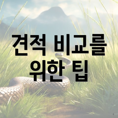 견적 비교를 위한 팁