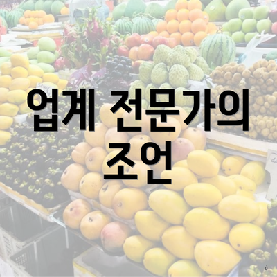 업계 전문가의 조언