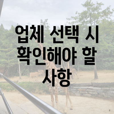 업체 선택 시 확인해야 할 사항