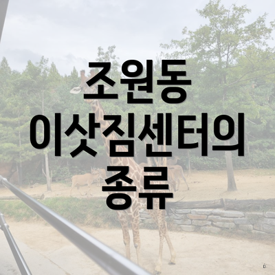 조원동 이삿짐센터의 종류