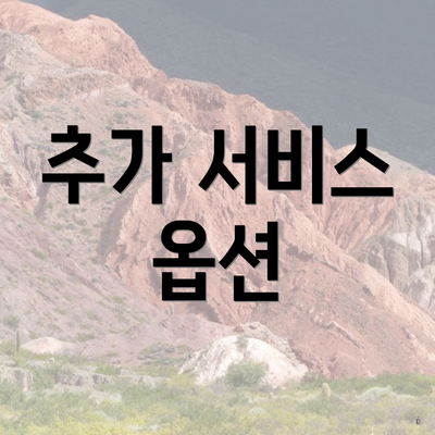 추가 서비스 옵션