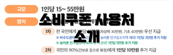 소비쿠폰 사용처 소개