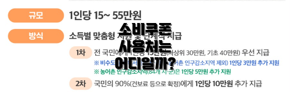 소비쿠폰 사용처는 어디일까?