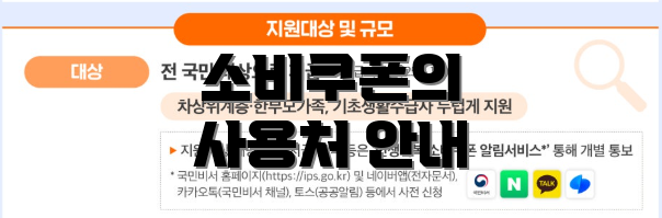 소비쿠폰의 사용처 안내