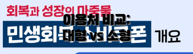 이용처 비교: 대형 vs 소형