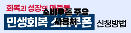 소비쿠폰 주요 사용처