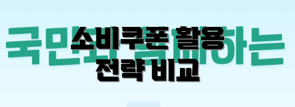 소비쿠폰 활용 전략 비교
